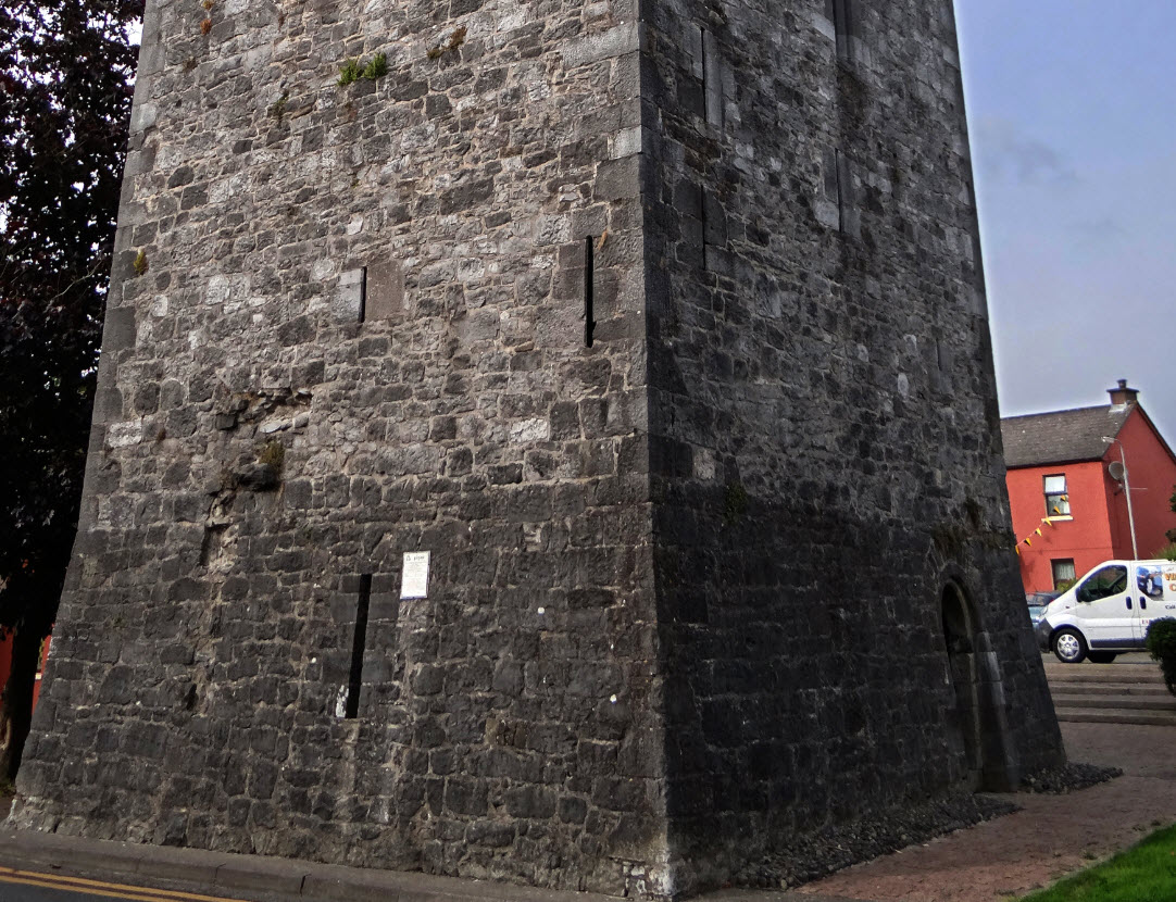 Maudlin Castle, Ireland